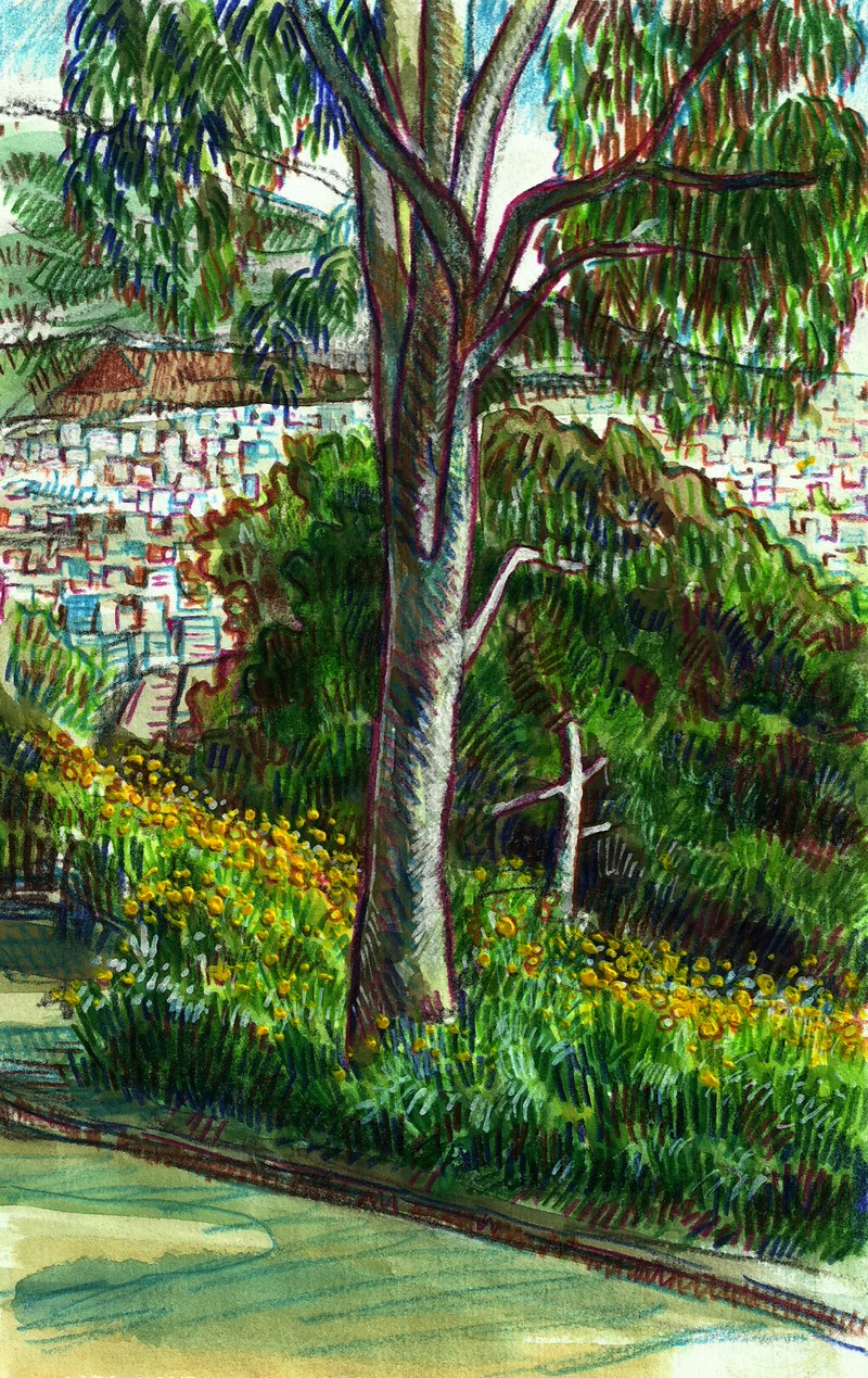 Gumtree on Lykavittos